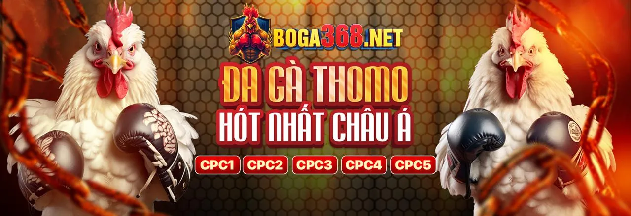 Chương trình VIP Xbet Đăng Ký