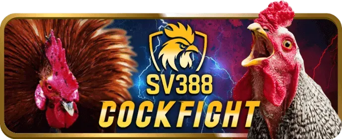 Cá cược thể thao đa dạng tại xbet đăng ký