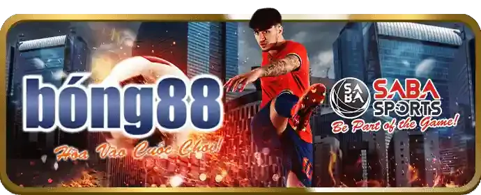 Hỗ trợ khách hàng chuyên nghiệp xbet